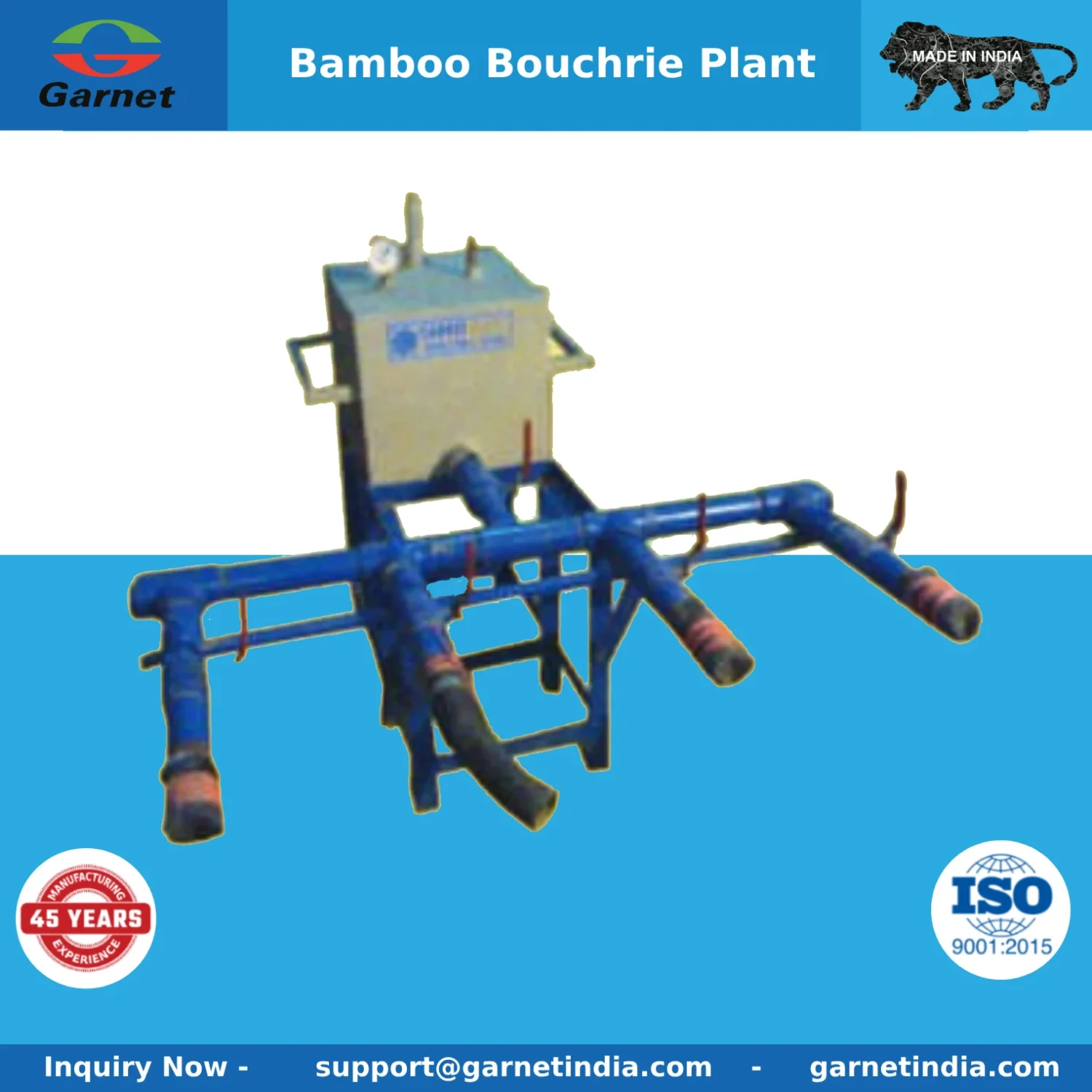 Bamboo Bouchrie Plant